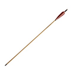 12Pcs 33″ Wooden Arrow LongBow Hunting Red Lightning Turkey Feather Fletching