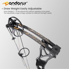 Compound Bow Package for Adults and Teens, 0-70 Lbs Draw Weight,23.5″-31″ Dra…