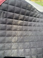 LeMieux ProSport Large Dressage Quilted Suede English Saddle Pad Mullberry