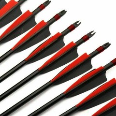 12pcs 30 inch Archery Fiberglass Arrows Spine 500 Hunting Target Practice Arrows