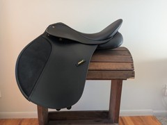 Wintec 250 Dressage Saddle 16.5 in Black Easy-Change Gullet System