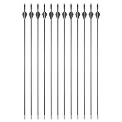 54″ Takedown Recurve Bow Set &12pcs Fiberglass Arrows for Archery Hunting Target