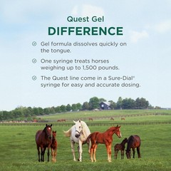 Quest Gel Moxidectin Horse Dewormer Early Grazing Season 0.5oz Sure-Dial Syringe