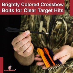 Pistol Crossbow Bolts -6.5 Inches -Set of 12 for Outdoor Hunting Target Practice