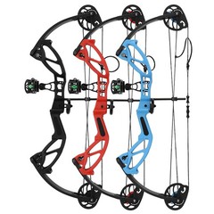 Compound Bow Set for Youth & ,Beginners Bow and Arrow Set,Right Handed,Draw L…