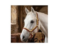 Horse Halter Multi Color Nylon Adjustable Durable Comfortable Equestrian Tack