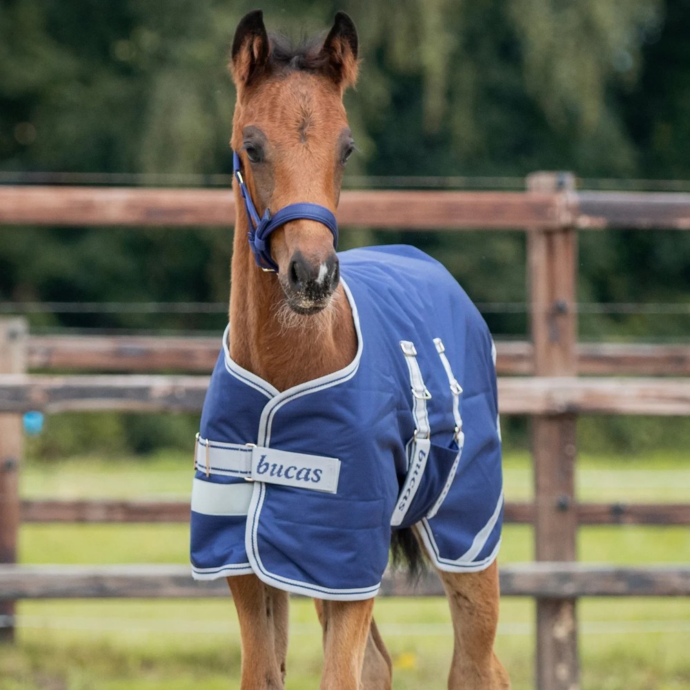 Toklat Bucas Ripstop Foal Turnout Horse Blanket – 50g Fill, One Size, Navy