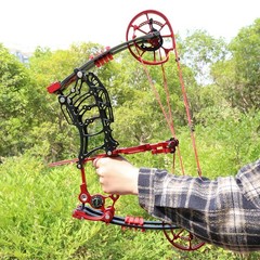 Dual-use Compound Bow Kit 30-70lbs Steel Ball Arrows Archery Outdoor Shoot RH LH