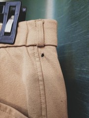Ladies Pikeur Khaki Riding Breeches 31 In Waist 27 In Inseam Please Read