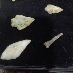 Stone Arrowhead Points Lot w/ Display Case, Multicolor – Hunting Archery
