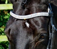 FSS Rhinestone Browband WHITE CLEAR CRYSTAL 5 Row 6mm/3mm Bling Curve U ON SALE