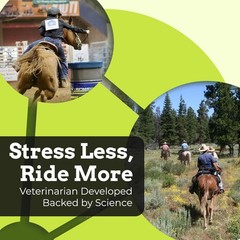 SynChill Oral Horse , 100% Natural Cognitive Support, Helps Maintain Focus & …