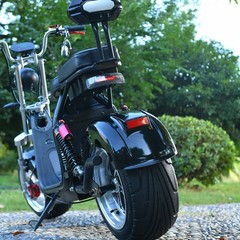 4000W Motor Max Speed 40MPH Max Load 550 IBS Fat Tire Electric Scooter Black