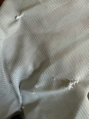 81” Bucas Buzz Off Full Neck Horse Fly Sheet – Used