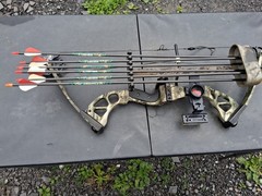PSE Stinger Compound Bow
