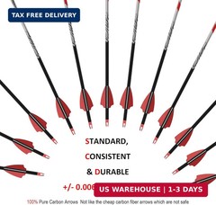 12PCS 32″ Carbon Arrows 300 350 400 Spine w/ Removable Tips Archery Bow