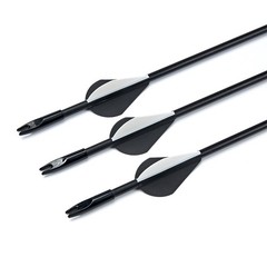 54″ Takedown Recurve Bow Set &12pcs Fiberglass Arrows for Archery Hunting Target