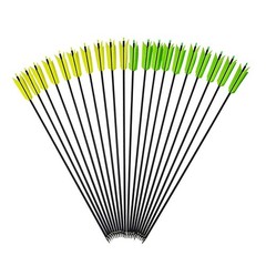 AMEYXGS 6/12 Pcs 30 Inch Archery Carbon Arrows Target Practice Flu Flu Arrows…