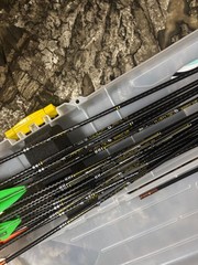 Victory VAP SS Elite V1 250 spine full length 50 gr inserts, 17 arrows!