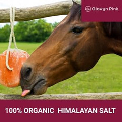 Himalayan Mineral Salt Block on Rope Pack of 4 (3Lbs Each) – 100% Organic Pink S