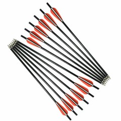 12X Fiberglass Crossbow Bolts Hunting Arrows For Shooting Practice Flat Nocks US