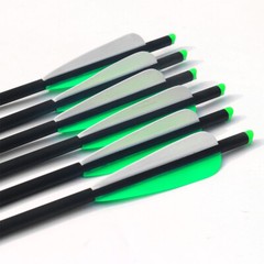 12Pcs 20″ Carbon Crossbow Bolts Arrows Archery Hunting with 4″ Vane Replaced Tip