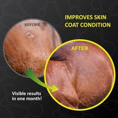 GastroMend XC, 100% Natural Equine Stomach XC – 30 day supply