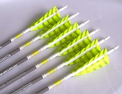 Goldtip warriors arrows for Traditional archery