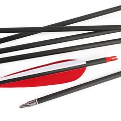 35″ Archery Pure Carbon Arrows SP500 600 5″ Turkey Feather Recurve Bow Hunting