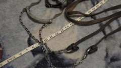 Vintage Leather One Ear Headstall Engraved Cricket Curb Bit Crockett Renalde