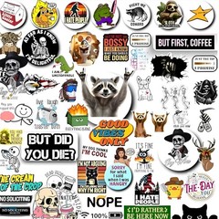 200 PCS Stickers for Adults Funny for Water Bottle, Laptop, Helmet, Cars, To…