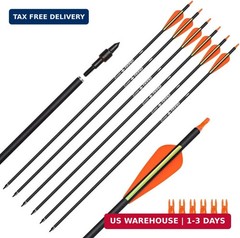 Carbon Arrow Hunting Arrows with 100 Grain Tip and Removable Tips for Archery Co