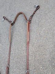 Crystal Schockemohle Delaware Bridle & Matching St. Lewis Breastplate 🤩