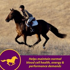 Horse Health Red Cell, Suplemento Liquido De Vitaminas, Hierro Y Minerales Para
