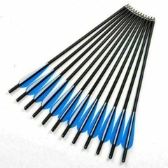 24Pack 20 inch Crossbow Bolts Carbon Crossbow Arrow for Hunting Outdoor Practice