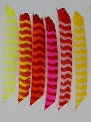Trueflight Full Length Bright Stripes Feathers, Dozen Packs