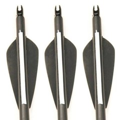 12Pcs 30Inch Fiberglass Arrows Turkey Feather Fit For Recurve bow/Compound bow