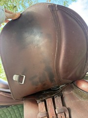 Bates Elevation 16.5” Saddle With CAIR and Easy Change Gullet System