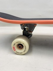 GLOBE THUMPY 30 INCH STORM CATS SURF / SKATE CRUISER SKATEBOARD