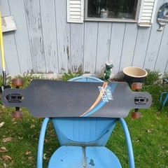 Sector 9 Longboard