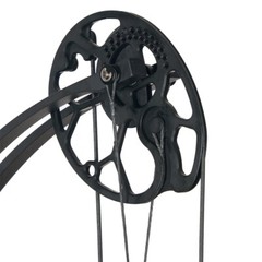 Compound Bow Set 30-70lbs Archery Hunting Arrows RH for Adult Target Shooting