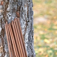 50X Hunting Bamboo Nock Shafts 39in 40-60lbs Archery DIY Hunting Arrows Recurve