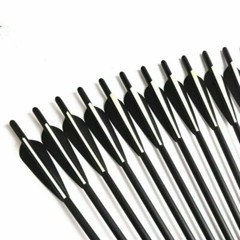 12Pcs 20Inch Crossbow Bolts Carbon Arrows /12Pcs Hunting Broadheads /Quiver Tube