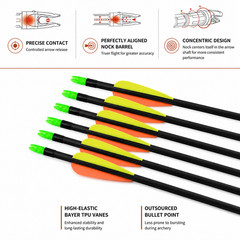 Bow and Arrows Set Archery Takedown Recurve Bow Adult Beginner Target Practice