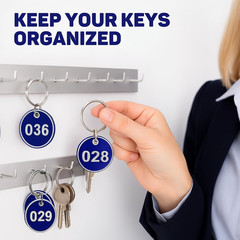 Metal Key Tags 1-100 – Durable Alloy Steel Numbered Tags in Blue Sequential R…