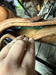 16.5in Bates Caprilli English Saddle W/ Exchangeable Gullet System