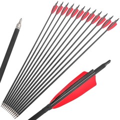 30»Archery SP500 Carbon Arrows Quiver 4» Turkey Feather Arrowheads Bow Hunting