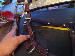 used horse show halter silver