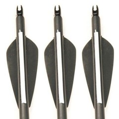 12Pcs 30″ Fiberglass Archery Arrows Spine 500 with Removable Tips Hunting Target