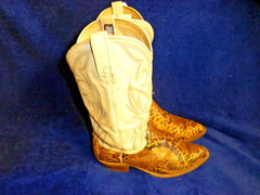 DAN POST MENS SNAKESKIN/ LEATHER BOOTS SIZE 9D DEEP V –MAKE AN OFFER